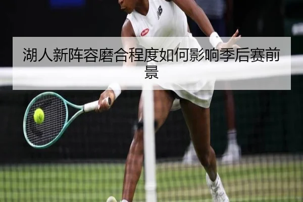 湖人新阵容磨合程度如何影响季后赛前景